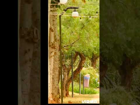 🏛️UNASP, Engenheiro Coelho SP