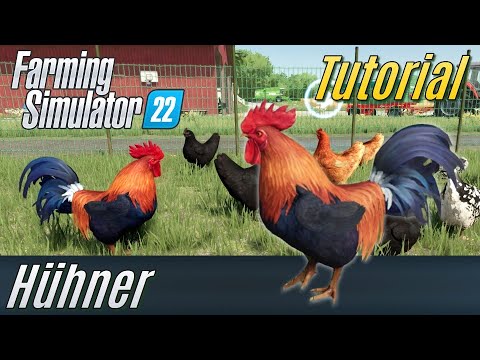 LS22 Tutorial: Hühner (für Einsteiger)