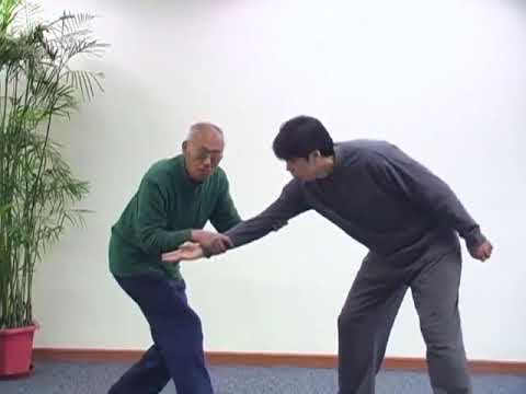 "BAGUA” Combat Techniques