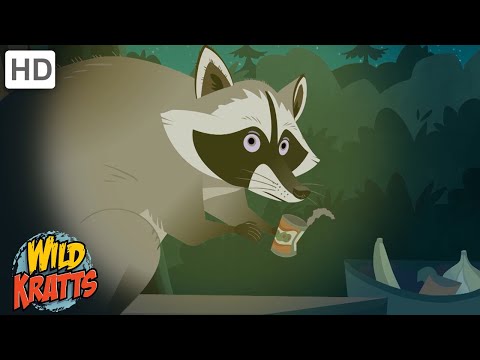 Amazing Adaptations Part 5 | How Animals Survive in the Wild | Wild Kratts
