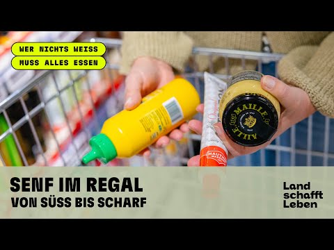 Senf im Regal: von süß bis scharf