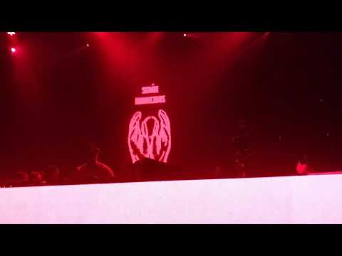 #LocoDice en #TheZoo2019