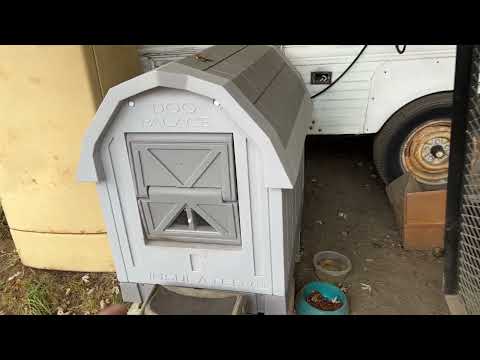 The Dog Palace Doghouse Review | Dog Palace Doghouse Heater | Dog Palace Doghouse Bed