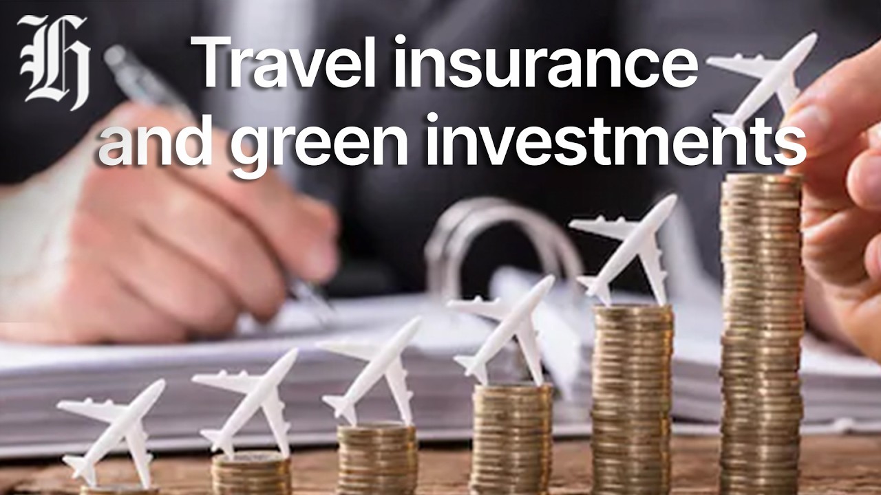 Panel: Travel insurance and green investments | Herald NOW