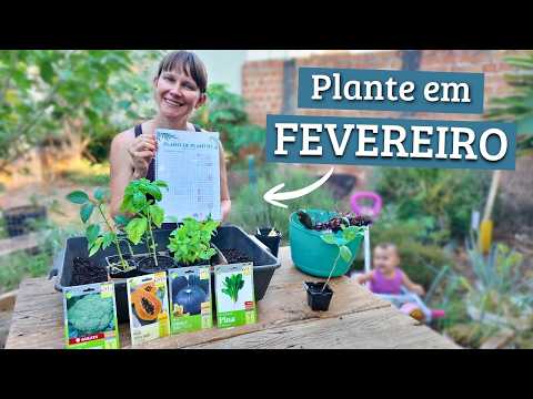 What to Plant in FEBRUARY 2026? Planting Calendar