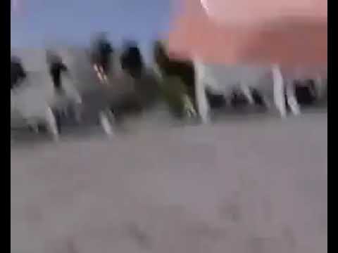 Avion que aterriza en la playa