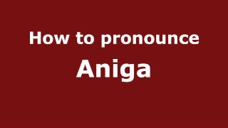 How to pronounce Aniga