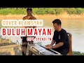 Buluh Mayan Versi Alamsyah Cipt Ependi Tn