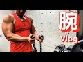 【筋トレ】とある日の、減量中腕トレ【vlog】