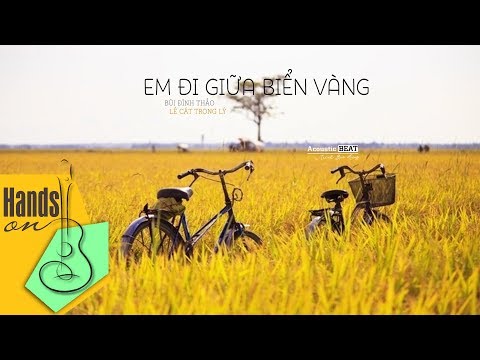 Em đi giữa biển vàng - Lê Cát Trọng Lý - acoustic Beat by Trịnh Gia Hưng
