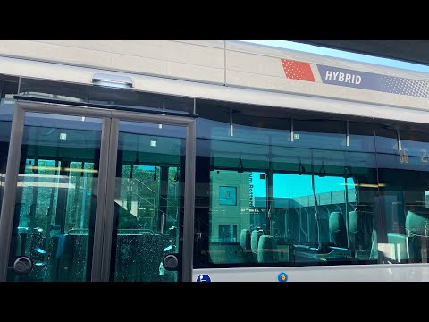 Lijn 66 Persoonsdam - Zuidplein