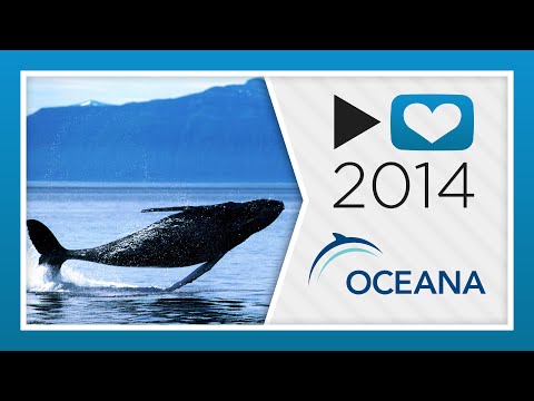 The Not-So-Silent World | P4A 2014 - OCEANA