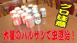 [DIY 17LDK]大量のバルサンを部屋中にまき散らした結果が凄すぎたっ！