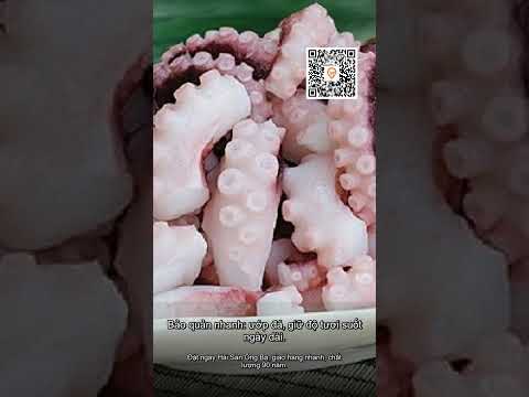 Bạch tuộc biển ruốc tươi 0.5kg – Đặc sản hải sản Hải Sản Ông Ba