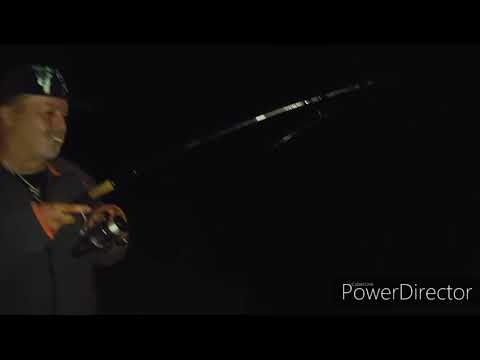 Aal angeln an Sommerheissen Nächten Teil 2 um auf Aal anzusitzen