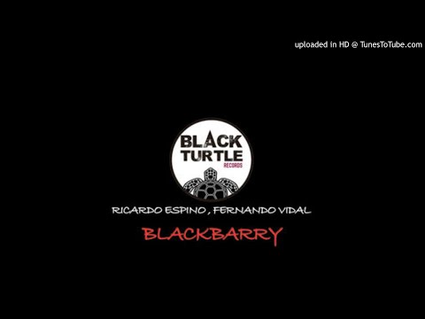 Ricardo Espino & Fernando Vidal - Blackbarry (ORIGINAL MIX)
