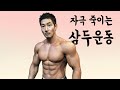 정면에서 커보이는 팔 만드는 방법ㅣ삼두자극 찢어짐