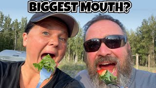 Full Alaskan Garden Tour - First Meal from the Garden - Who can take the Biggest Bite - Pig Check-In