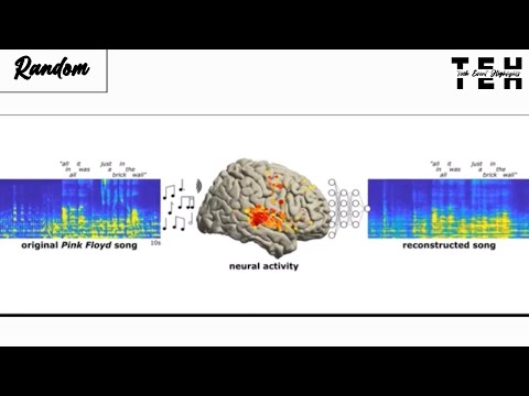 AI reconstructed pink floyd song from brain activity