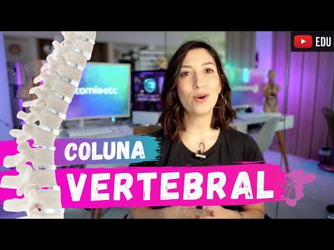 COLUNA VERTEBRAL - Anatomia