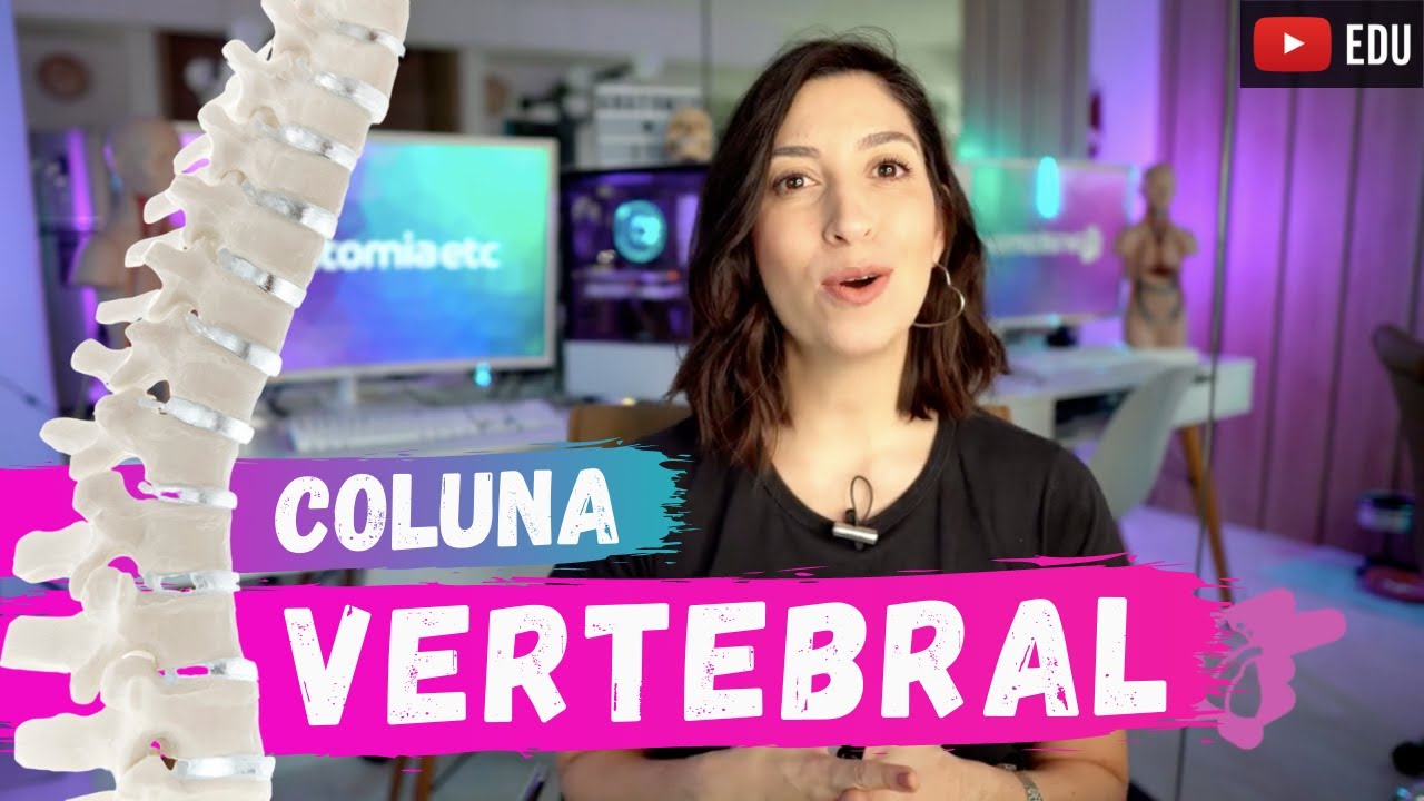 O Que E Coluna Vertebral Anatomia