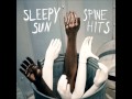 Sleepy Sun - Lioness (requiem) 