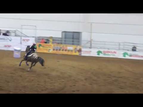 BarrelRacing Matteo Cavaliere Nazionale WSGA Fieracavalli Verona 2018
