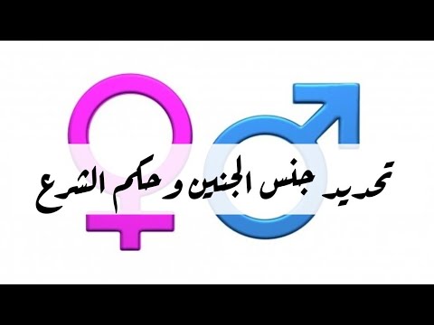 تحديد جنس الجنين وحكم الشرع