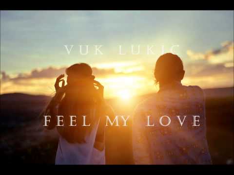 New Summer music / Vuk Lukic - Feel my love (Original Mix) - Soon on Insane room records
