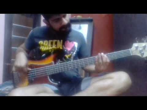 Zokova - And we burn with it (Bass Cover)