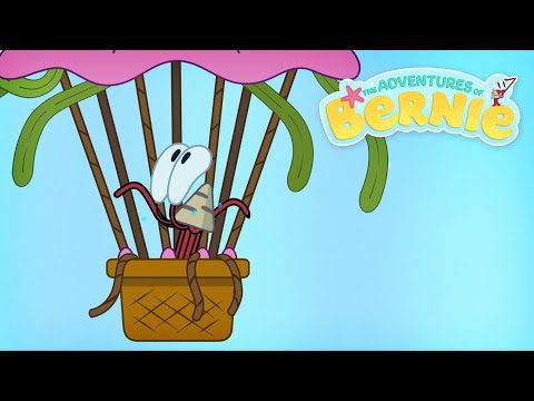 FIRST FLIGHT 🪂 NEW The Adventures of Bernie | Zig & Sharko - Cartoons for Kids