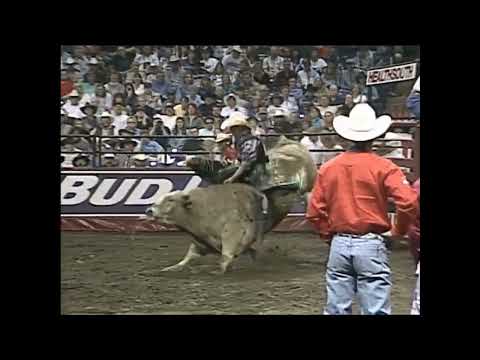 PBR 1999: Murphy's Law Lets Another Bull Loose