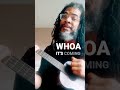 Amazing Dennis Brown Ukulele Cover! The Musical heatwave is coming by Rivah Jordan