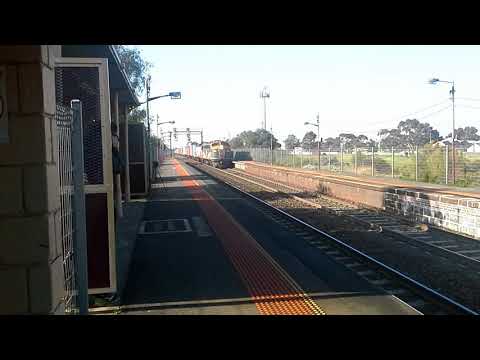 B and G on 9175 Down Ultima Hay