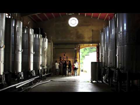 Cellers Avgvstvs Forvm - Enoturisme