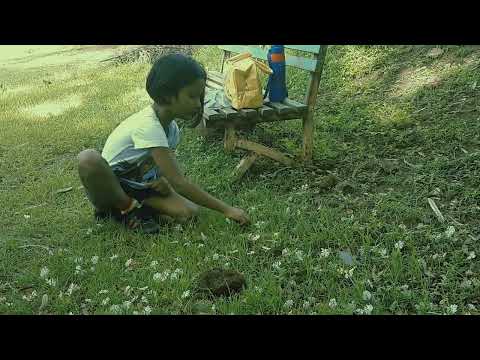 OJASVI LA 🌼 🌸 🌻 FLOWERS KHOOP AVADATAT