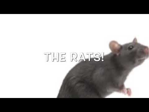 Allosaurus Pack Hunts Diplodocus