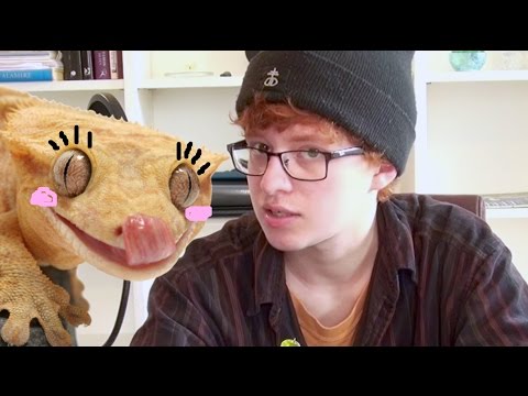 Cavemail Episode 4 (A Pen Pal for Caspar!)