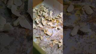 Download lagu The Colorful Yet Tragic Life Cycle of Silk #traditional #nature mp3 Download lagu The Colorful Yet Tragic Life Cycle of Silk #traditional #nature mp3