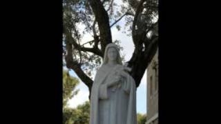 preview picture of video 'HolyLand Gateway - Haifa City and Mount Carmel (Intro - More to Come)'