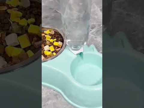 Automatic Drinking Pet Bowl Cat Food Bowl Pet