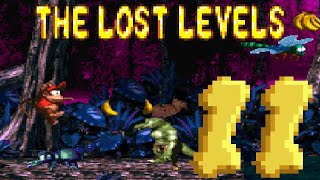 Donkey Kong Country 2: The Lost Levels 100% - Part 11