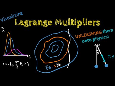 Lagrange Multipliers vs ALL of Physics