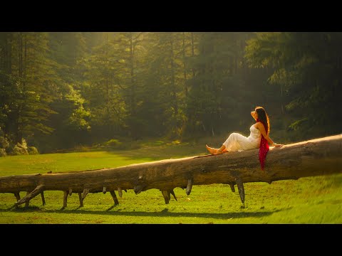 Tu Hi Tu | DAKAIT X 2FISTD X Aniket Raturi | Prod. AP Issa Banger & Harry Spark | Music Video