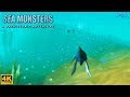Sea Monsters: A Prehistoric Adventure Wii Gameplay 4k 2