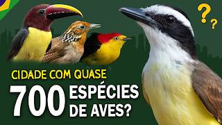 As 10 CIDADES do BRASIL MAIS RICAS em AVES!