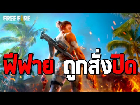 ชื่อฟีฟาย