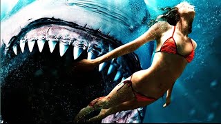 Shark Bait 2022 Hindi Dubbed Full Movie Watch Online HD | Shark Bait Full Movie 2022 Hindi Dubbed