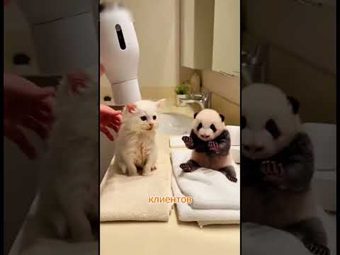 История дружбы, в которую никто не верит… Но она реальна!