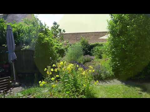 Lyden af biodiversitet